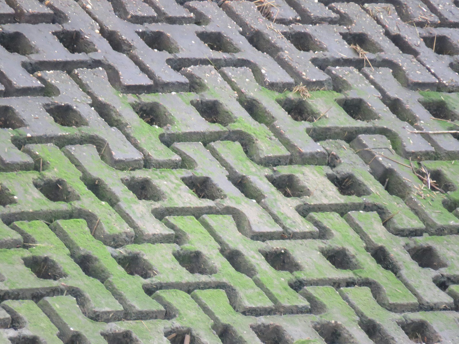 Permeable Driveway El Paso
