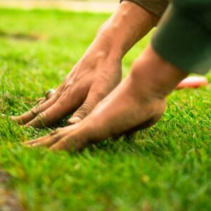 Landscaping El Paso Texas